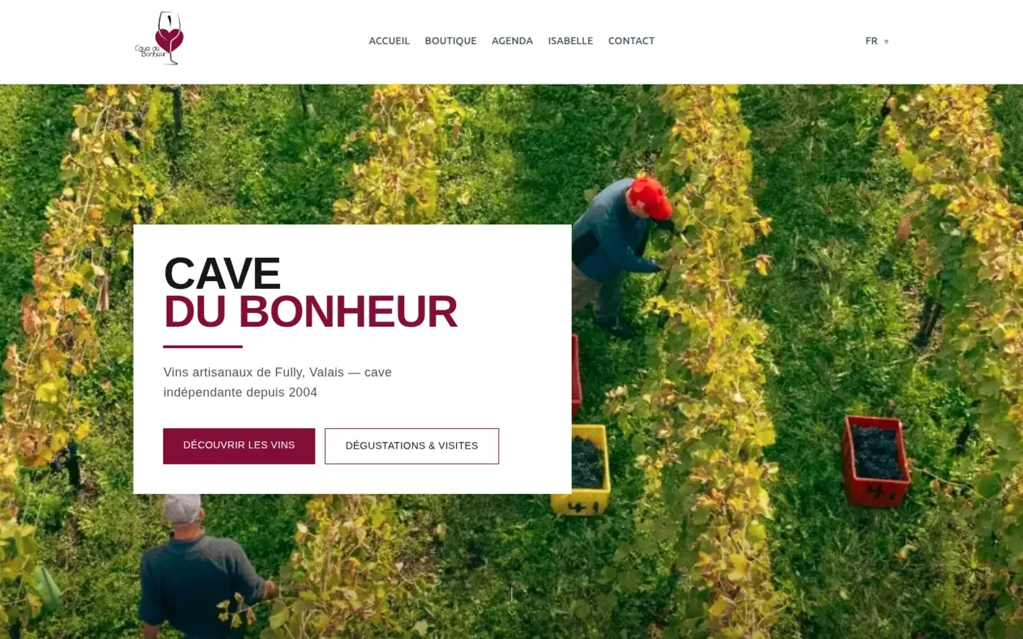 Page d’accueil de la Cave du Bonheur, le nom de la cave dans un encadré blanc sur une vue aérienne des vendanges dans les vignes